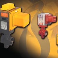 Maxon Gas Electro-Mechanical Valves